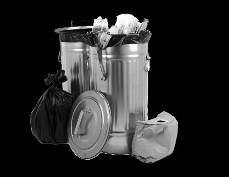 Garden waste and bulky rubbish removal in Balham
