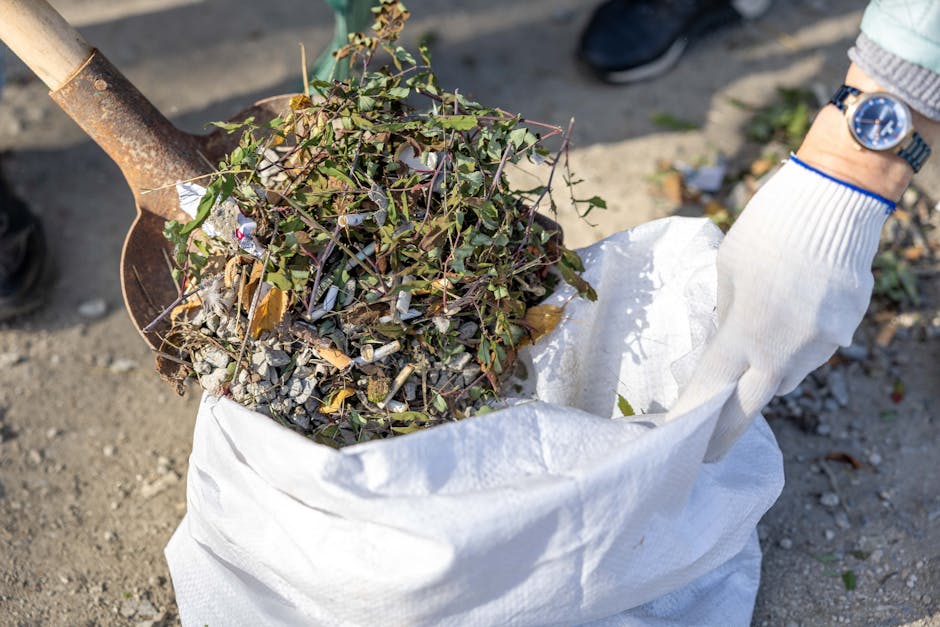 Wandsworth Common rubbish removal services Balham